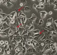 关于x乧?8?&,胞摫